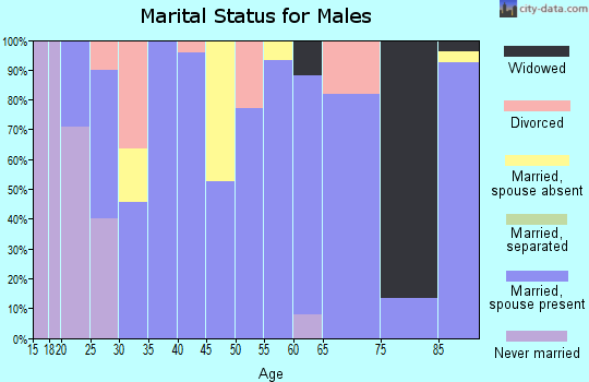 Zip code 51020 marital status for males