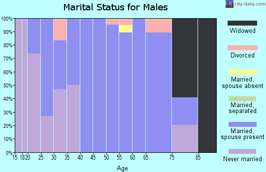 Zip code 51027 marital status for males