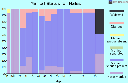 Zip code 51028 marital status for males