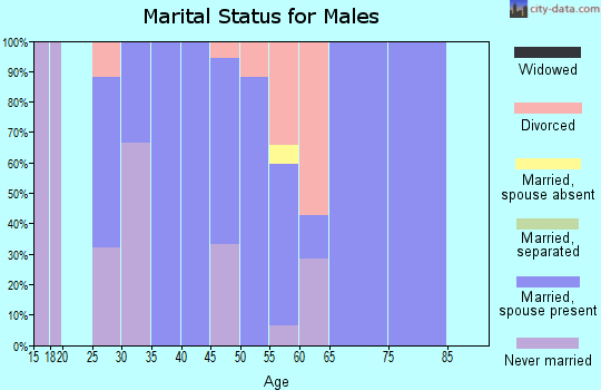 Zip code 51029 marital status for males