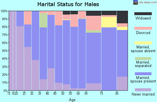 Zip code 51031 marital status for males