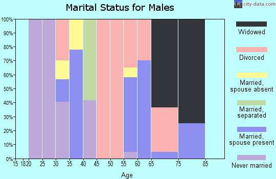 Zip code 51033 marital status for males
