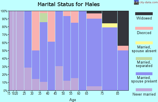 Zip code 51035 marital status for males