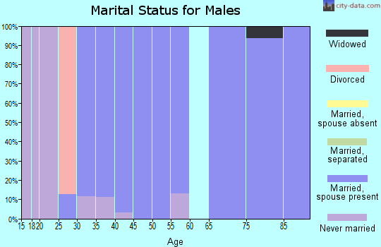 Zip code 51036 marital status for males