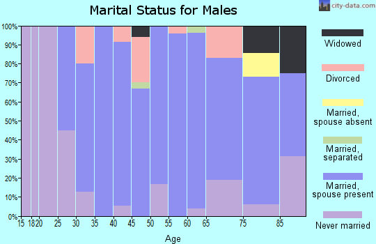 Zip code 51039 marital status for males
