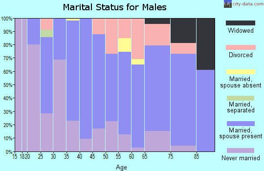 Zip code 51040 marital status for males