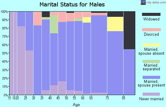 Zip code 51041 marital status for males