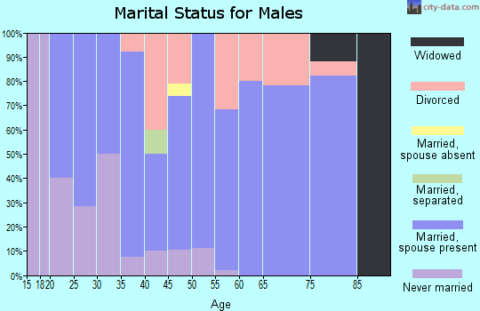 Zip code 51047 marital status for males