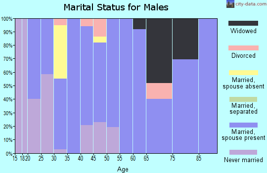 Zip code 51048 marital status for males