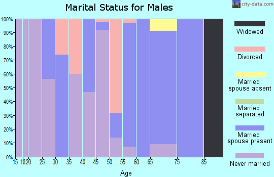 Zip code 51049 marital status for males