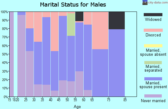 Zip code 51052 marital status for males