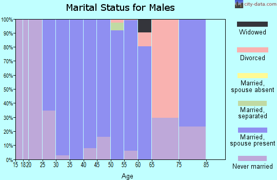 Zip code 51054 marital status for males