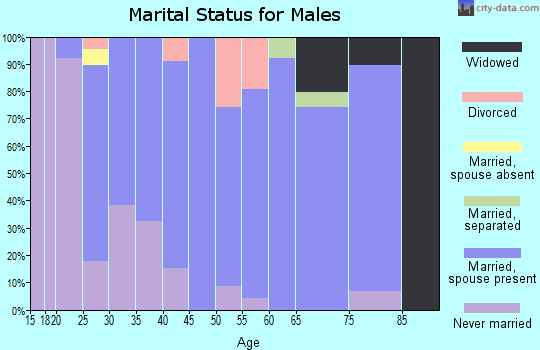 Zip code 51055 marital status for males
