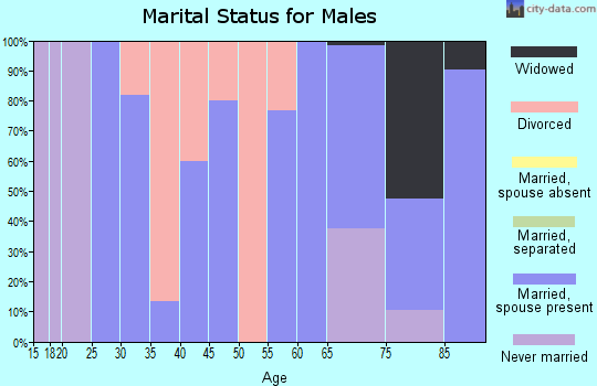 Zip code 51056 marital status for males
