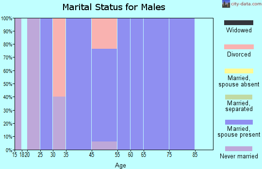 Zip code 51059 marital status for males