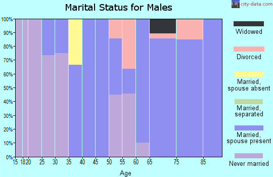 Zip code 51060 marital status for males