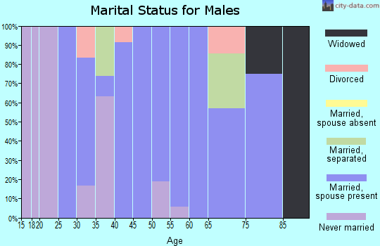Zip code 51061 marital status for males