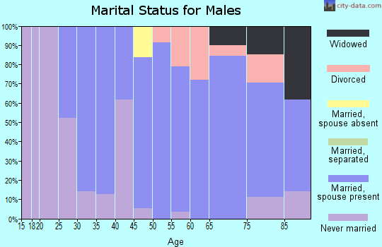 Zip code 51063 marital status for males