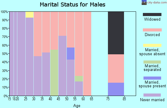 Zip code 51101 marital status for males