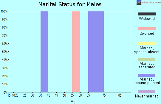 Zip code 51111 marital status for males
