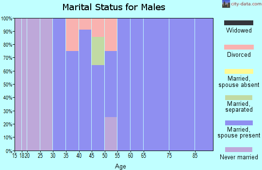 Zip code 51231 marital status for males