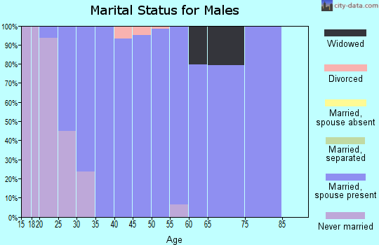 Zip code 51232 marital status for males