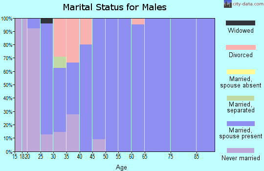 Zip code 51234 marital status for males