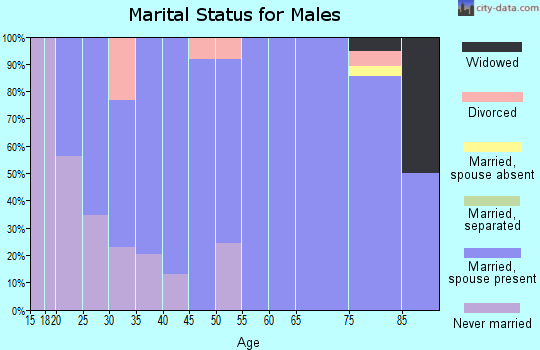 Zip code 51238 marital status for males