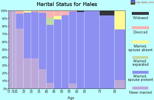 Zip code 51239 marital status for males