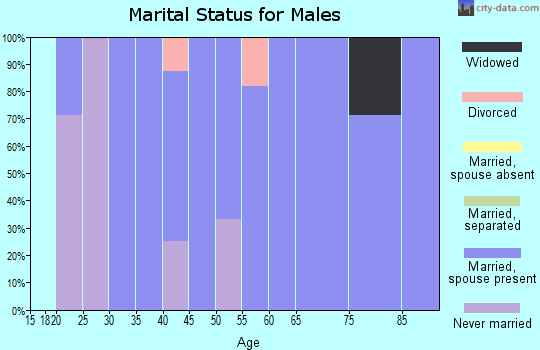 Zip code 51242 marital status for males
