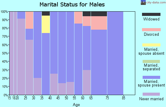 Zip code 51243 marital status for males