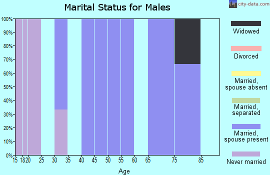 Zip code 51244 marital status for males