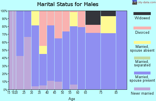 Zip code 51245 marital status for males