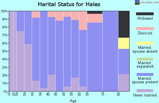 Zip code 51246 marital status for males