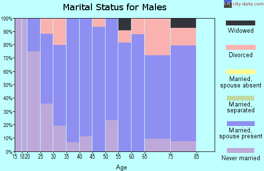 Zip code 51247 marital status for males