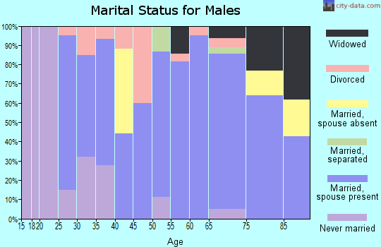 Zip code 51248 marital status for males