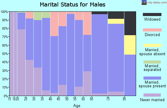 Zip code 51249 marital status for males