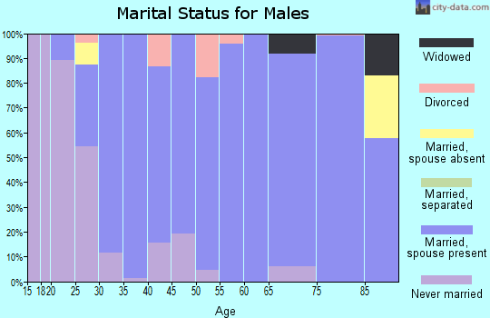 Zip code 51250 marital status for males