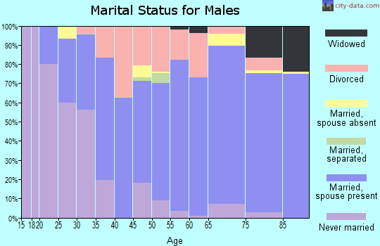 Zip code 51301 marital status for males