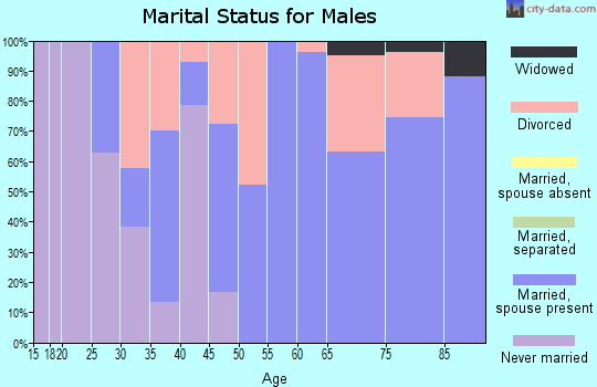 Zip code 51331 marital status for males