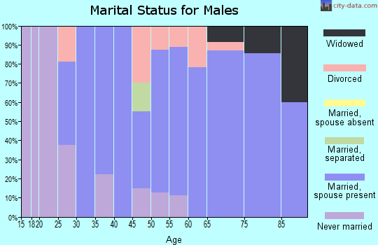 Zip code 51333 marital status for males