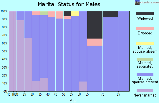 Zip code 51338 marital status for males