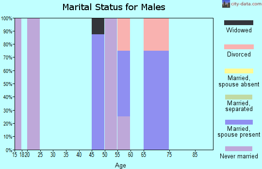 Zip code 51341 marital status for males