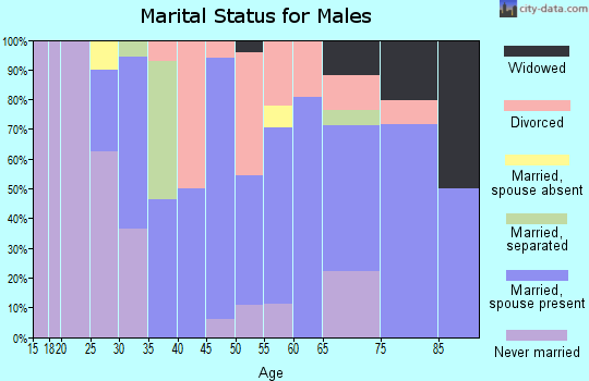 Zip code 51342 marital status for males