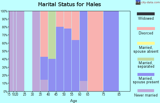 Zip code 51343 marital status for males