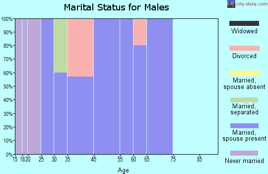 Zip code 51344 marital status for males