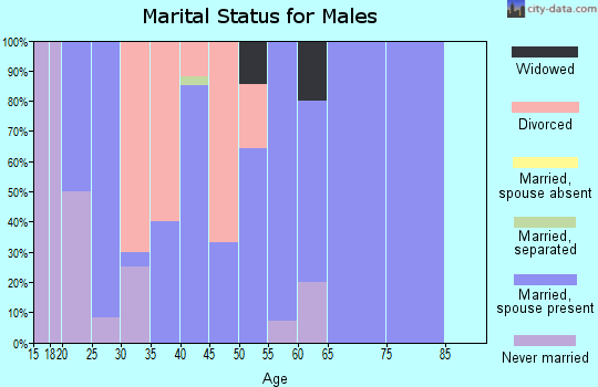 Zip code 51345 marital status for males