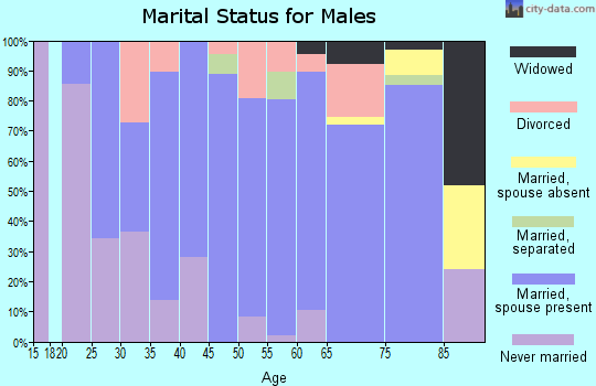 Zip code 51346 marital status for males