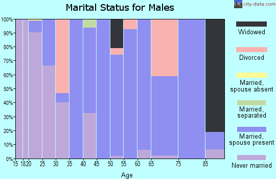 Zip code 51347 marital status for males