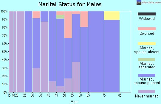 Zip code 51350 marital status for males
